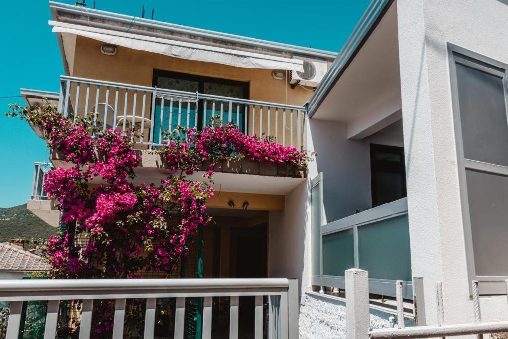 Ankica & Anamarija Apartments Neum Exterior photo